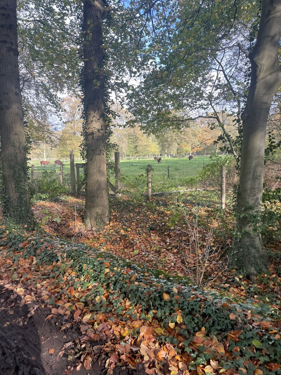 jetske_thielen's tweet image. Ben je vandaag niet in #amsterdam maar wil je wel je betrokkenheid laten zien en steun geven? Plaats dan een bericht op je eigen sociale media met #klimaatmars en @klimaatmars 

Livestream via klimaatmarslive.nl