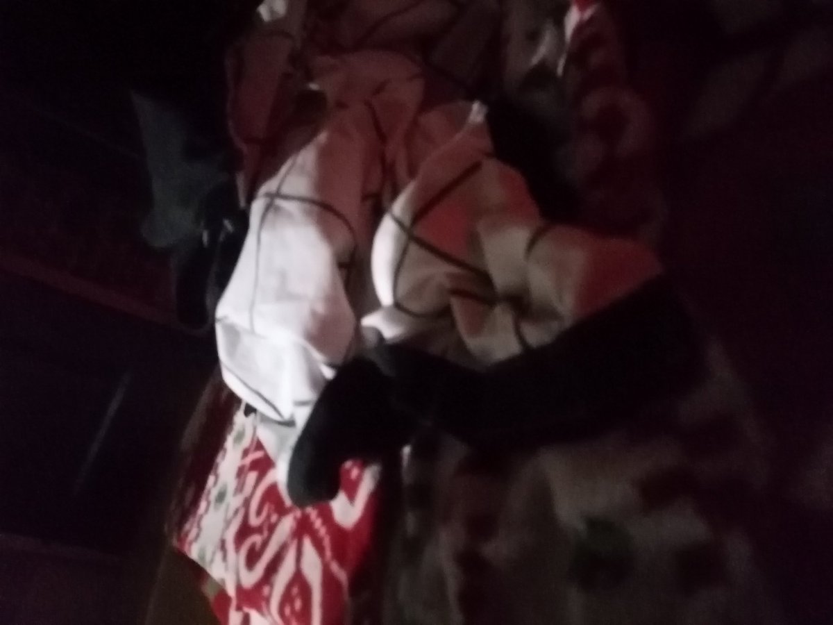 AleMelissza's tweet image. 