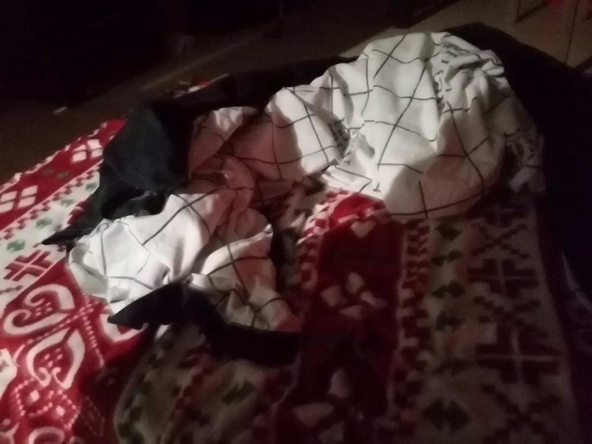 AleMelissza's tweet image. 