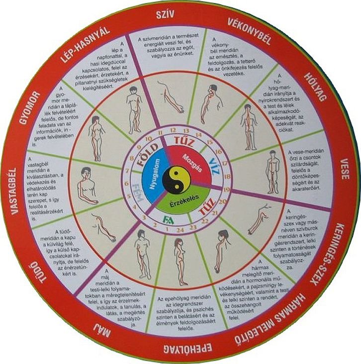 AleMelissza's tweet image. 