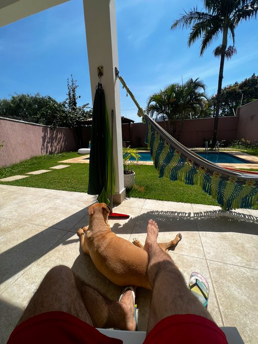 #sunday https://t.co/5c4yQ6FvZ9<a href="/tag/sunday"class="tags">#sunday</a>