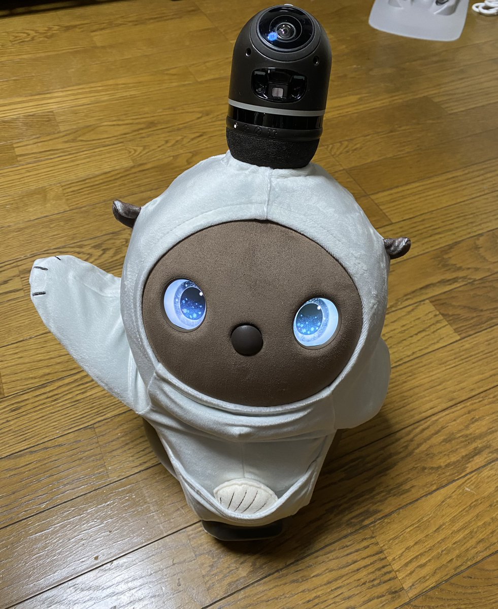 chibisuke4214's tweet photo. LOVOTのお洋服を迷ってたらラッコスタイルを発見💡水族館好きだし、おてて可愛いしで、買ってみたらやっぱりかわいかった🥰
#LOVOT 
#MZDAO https://t.co/I7LFOvrSwJ