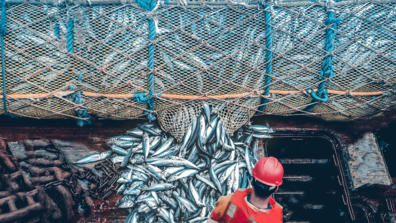 TheBriefLive's tweet photo. Govt auctions 5000MT of Hake
The Ministry of Finance and the Ministry of Fisheries and Marine Resources have initiated a bidding process for the sale of 5000 metric tonnes (MT) of Hake fish.
https://t.co/ri6J3ZloKC #namibia #fish #fishquota https://t.co/mnKkX03ljH