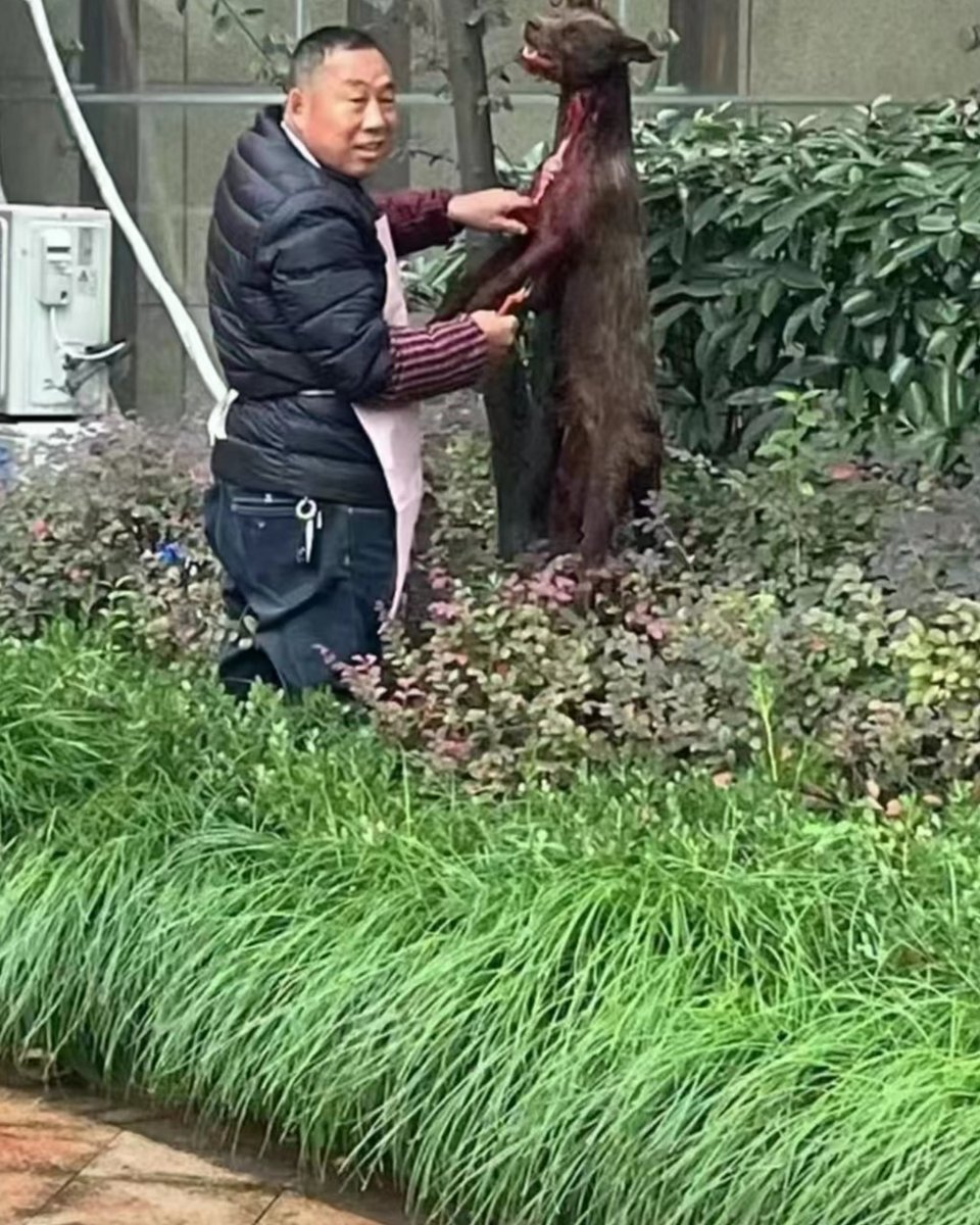 Yifuming, Yipeng St, Qiantang Dist, Hangzhou City, Zhejiang, China. November 12 2023. A man is killing dogs in the community and no one cares. It's legal to kill a dog for your own purposes. Consumption of #dogmeat is also legal except some cities. #torturetrade #wearenotfood