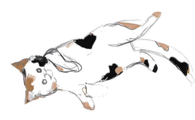 落書きぬこ 