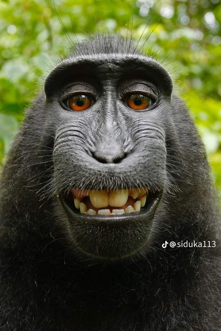 #BTC #ETH kiểu
🤨
#cryptocurrency
😂