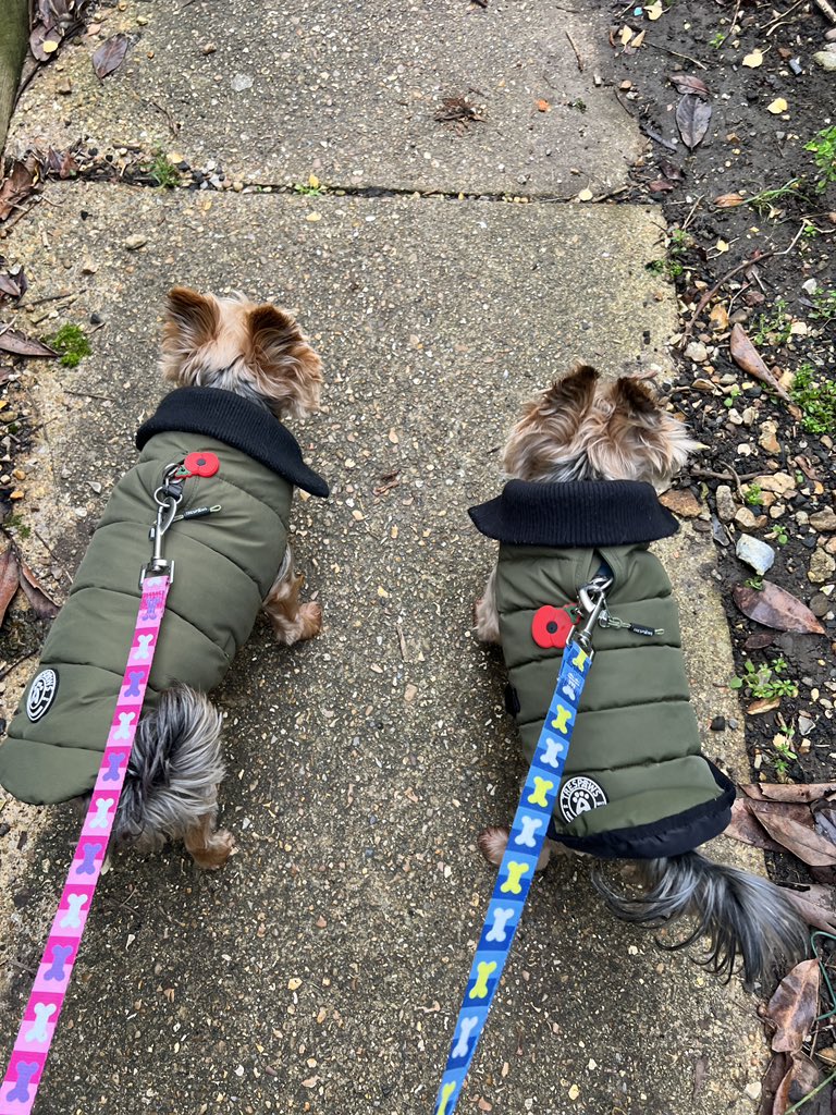 We have our poppies on ♥️ #LestWeForget #RememberanceDay