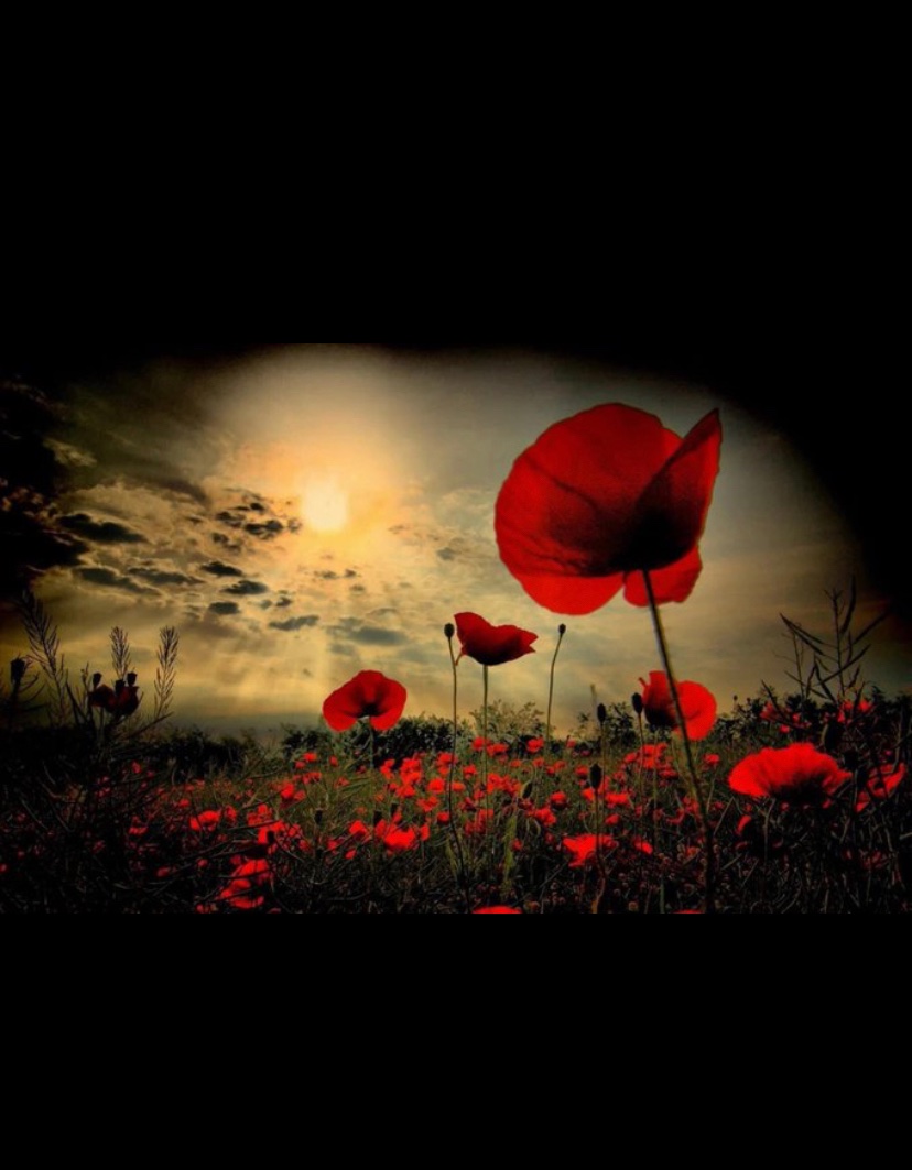 They shall grow not old, as we that are left grow old: Age shall not weary them, nor the years condemn. At the going down of the sun and in the morning. We will remember them’. #WeWillRememberThem #RemembanceDay#LestWeForget2023