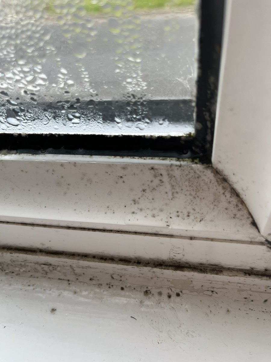 Jessiew0908's tweet photo. Wondering how a ‘damp and mould expert’ has graded my windows as a low risk for condensation despite having been shown photos which have provided evidence of the contrary. @PinnacleSF please let me know what would be high risk of condensation?! https://t.co/guDrRs7tUA