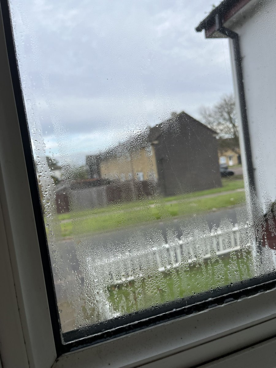 Jessiew0908's tweet photo. Wondering how a ‘damp and mould expert’ has graded my windows as a low risk for condensation despite having been shown photos which have provided evidence of the contrary. @PinnacleSF please let me know what would be high risk of condensation?! https://t.co/guDrRs7tUA