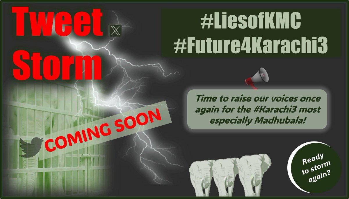 🟥🟥🟥🟥🟥🟥🟥🟥🟥🟥
Are you ready to storm again ?
🇵🇰 #LiesofKMC
🇵🇰 #Future4Karachi3

Watch this place 🐘🐘🐘 ❗
Next TWEETSTORM is coming soon.
#Karachi3