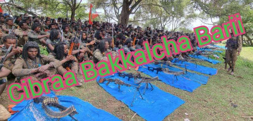 AWoldetensa's tweet photo. Alarf yalech xat ..... አላርፍ ያለች ጣት.....
👇👇
"✍️Ona #Warra jaarsoo keella Walee daandii Gojjam deemu irratti ganamaan #kannisni daraaraa #federal police guure dammeesse. 
    #Morgaan laf mijuu, Ampulaansii xiixaa guurti. #Damsis girrigirri baay'isa.
        I U O'f" - @booreelammii1