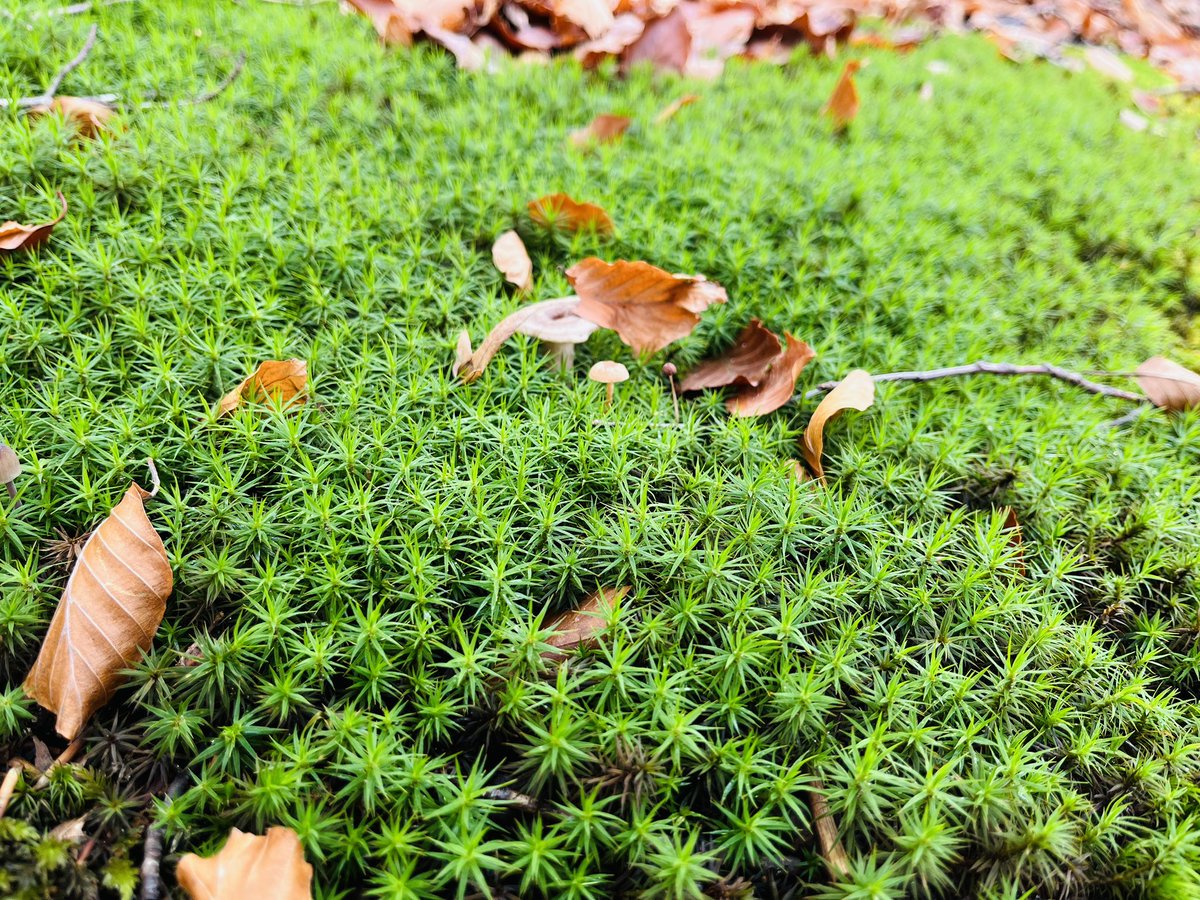 zimnokrwisty's tweet image. #Kaszuby na rowerze ☺️🚴🏼‍♂️