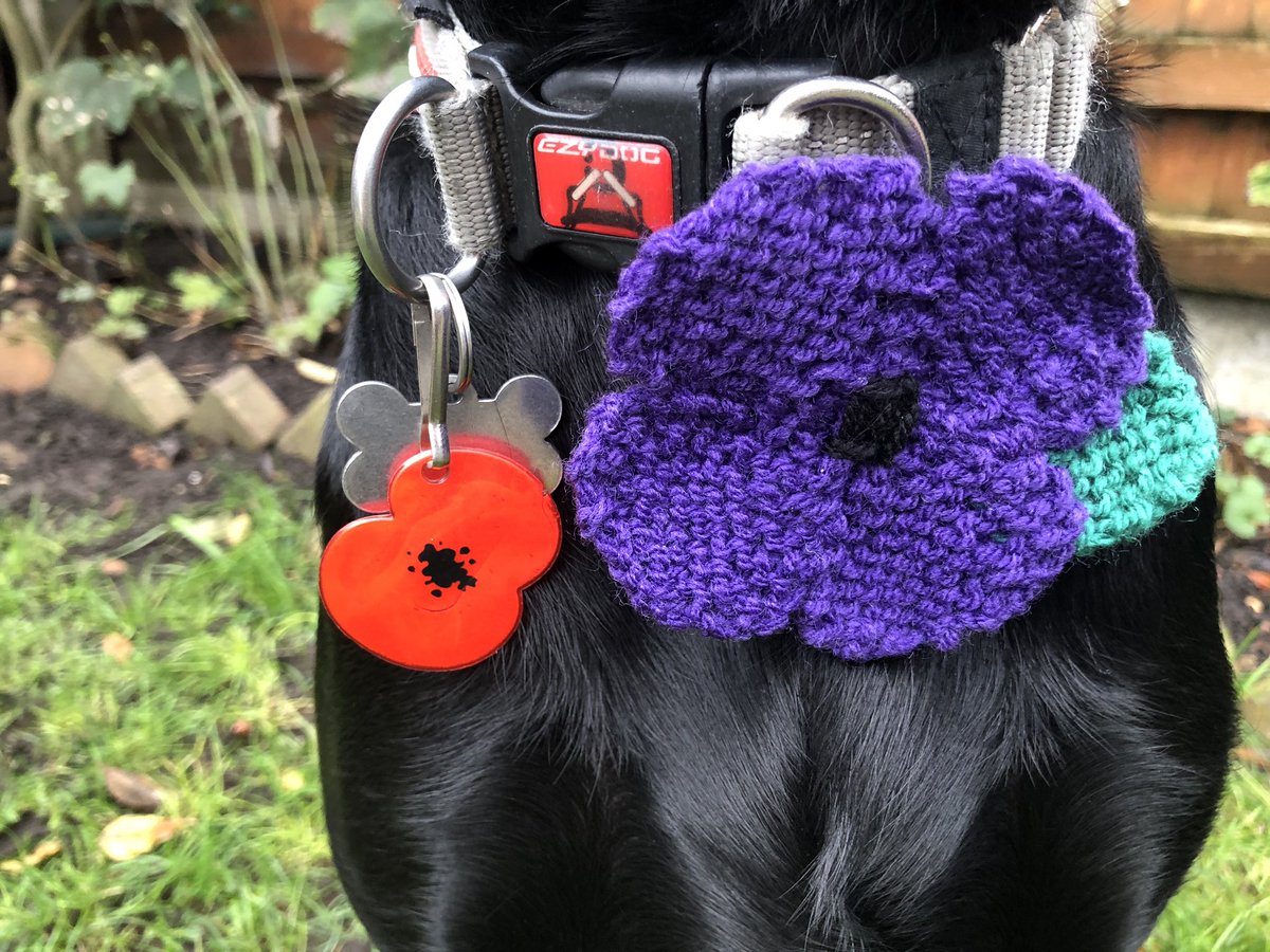 HertsFireDog's tweet image. Wearing our #poppies with pride today as well as our #PurplePoppies in memory of #AnimalsOfWar as #TheyServedToo.

#RemembranceSunday  #WeWillRememberThem  #RemembranceDay2023 
#LestWeForget