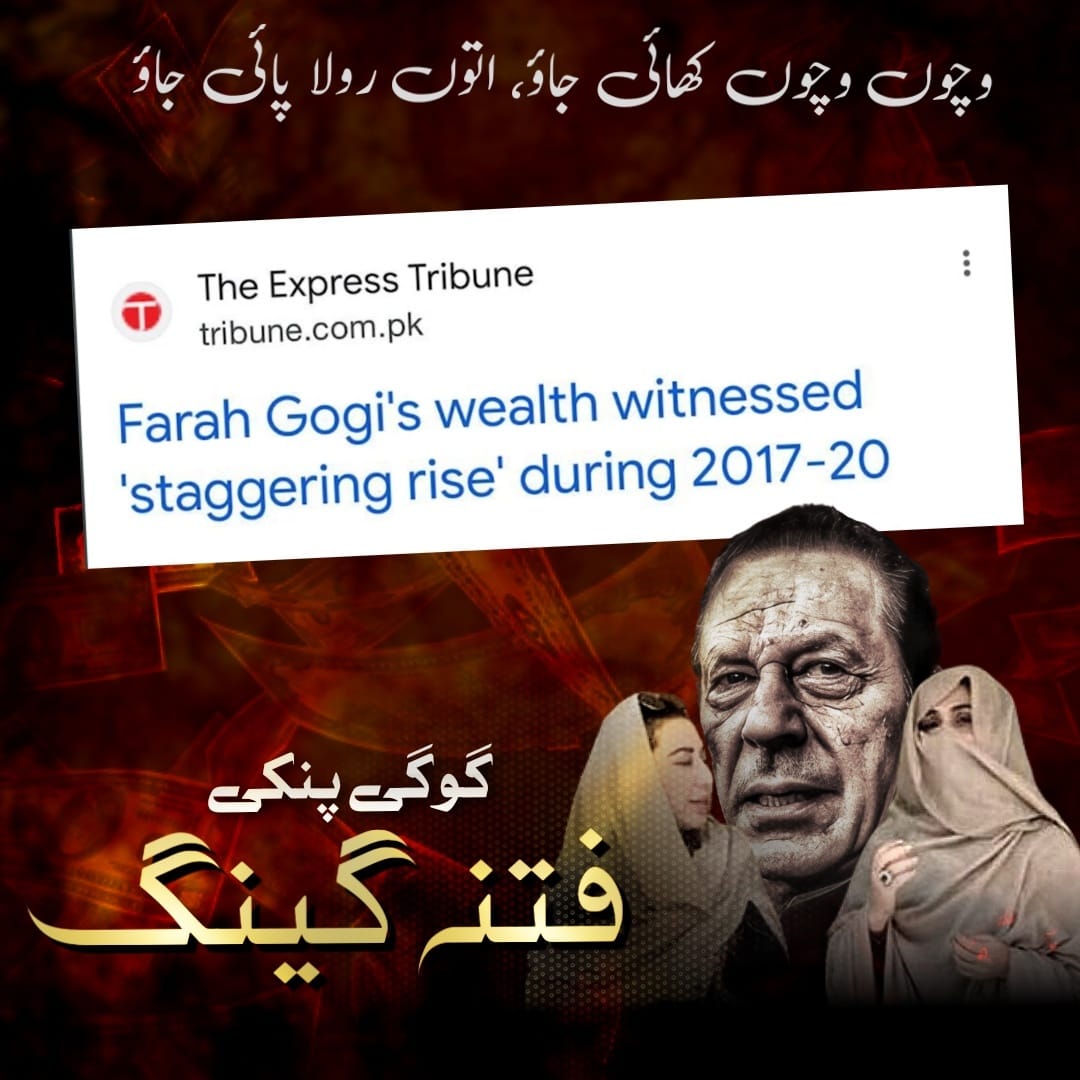 PMLN tweet media