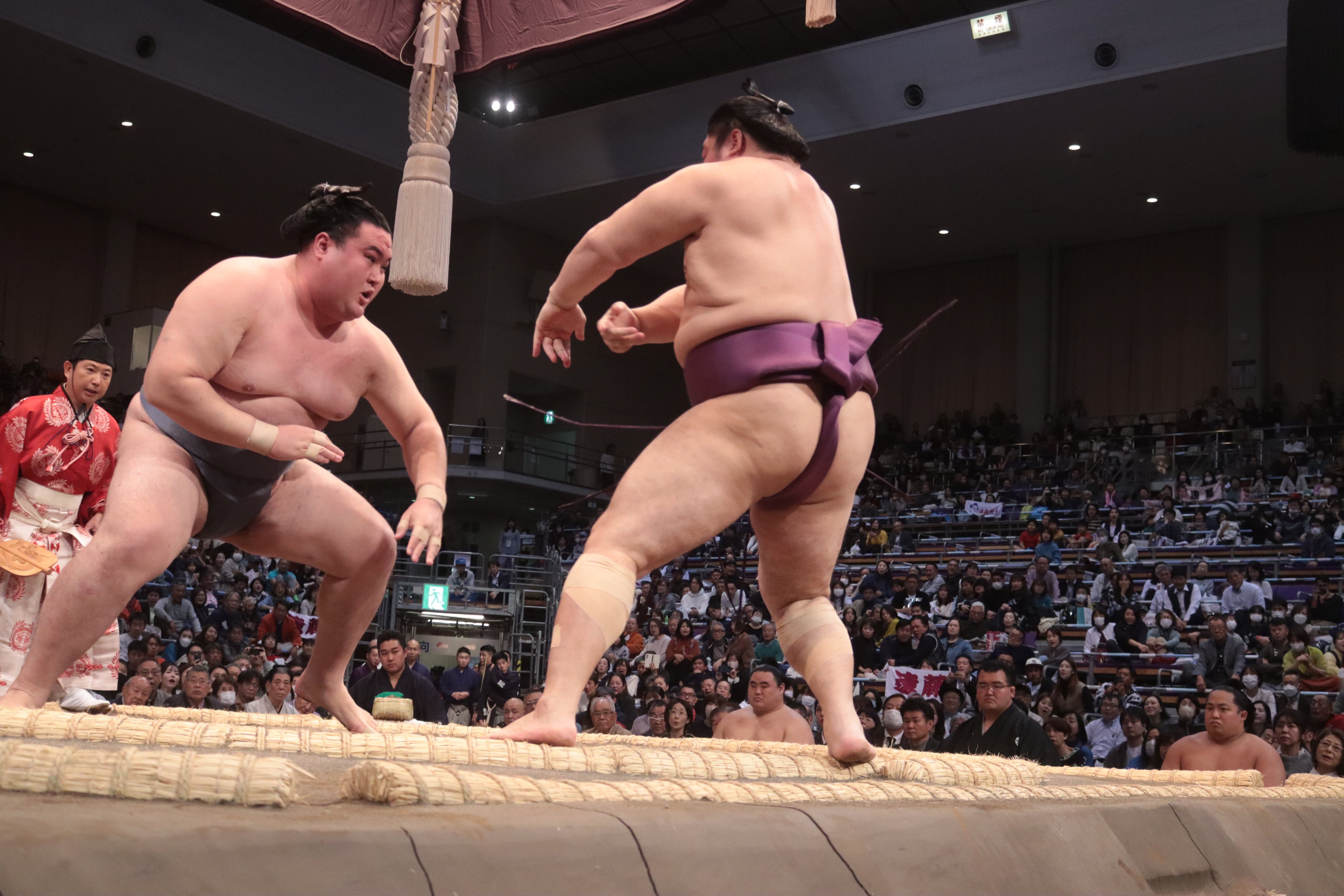 日本相撲協会公式 on X: 日本相撲協会公式 on X: