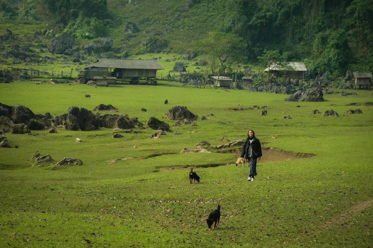 ChaisVillage's tweet photo. Hang Tau - a pristine village in Moc Chau 
Located next to the edge of the forest, Hang Tau has no electricity, no Internet, no phone signal, only the sound of cattle and children playing.
This destination has not been accurately located on Google Maps. https://t.co/iI0KR7kNeQ
