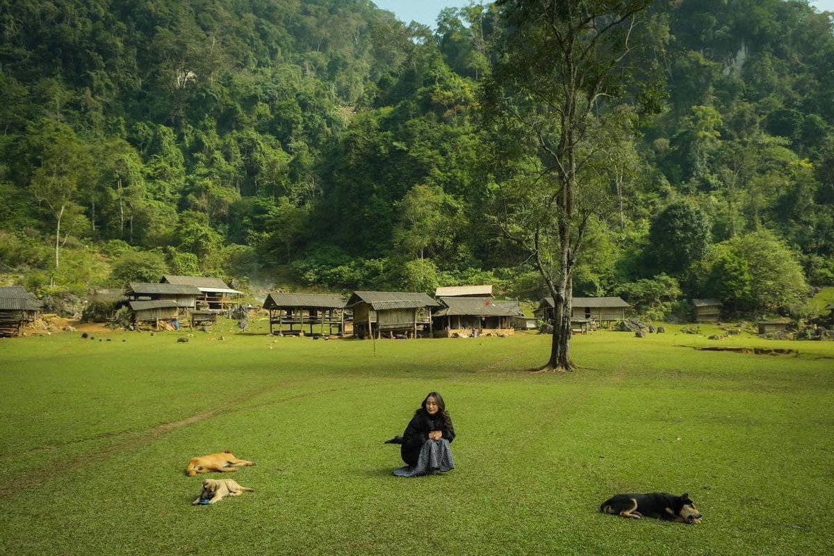 ChaisVillage's tweet photo. Hang Tau - a pristine village in Moc Chau 
Located next to the edge of the forest, Hang Tau has no electricity, no Internet, no phone signal, only the sound of cattle and children playing.
This destination has not been accurately located on Google Maps. https://t.co/iI0KR7kNeQ