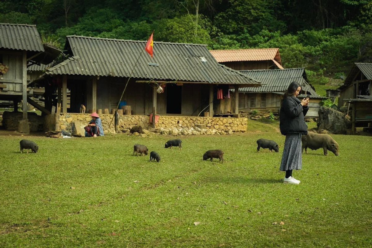 Hang Tau - a pristine village in Moc Chau 
Located next to the edge of the forest, Hang Tau has no electricity, no Internet, no phone signal, only the sound of cattle and children playing.
This destination has not been accurately located on Google Maps.