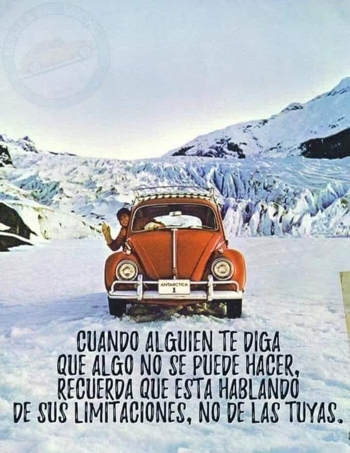 Buen día 🌼