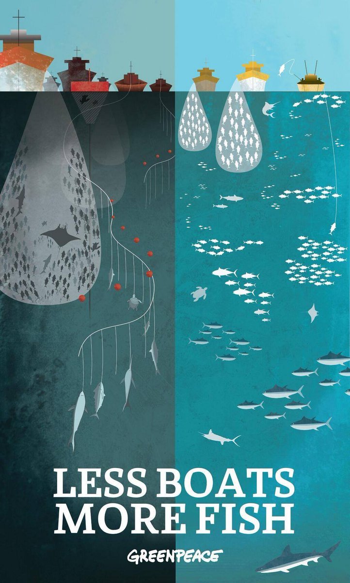 EcoInventos's tweet photo. Barcos pequeños, mas peces. https://t.co/8Qg8V84Kdk