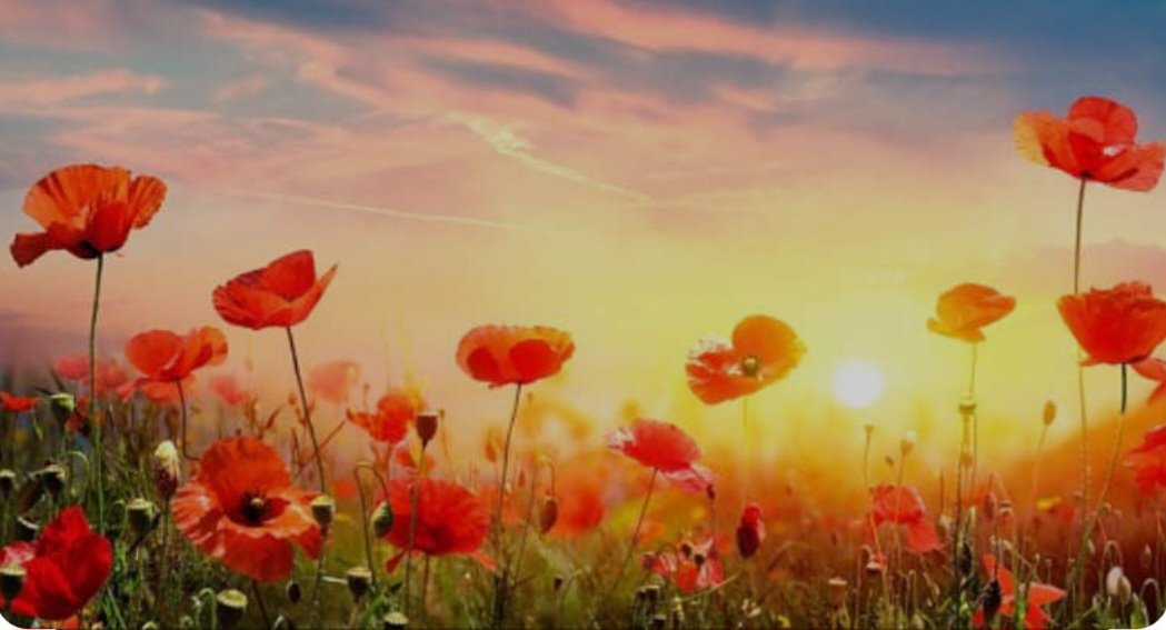 B&C 4x4 Response tweet media