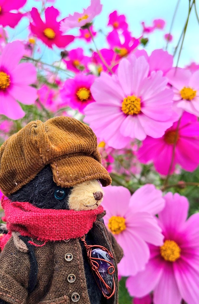 mito_SD's tweet photo. くまくんとお散歩 https://t.co/dmqiQcOpYX