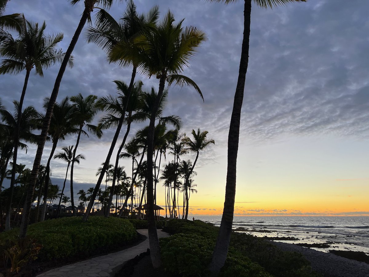 Thank you to the organizers for this year's excellent  2023 Society for Glycobiology Meeting on Transformative Advances in the Biological Functions of Glycans in Hawaii. I enjoyed all the good talks and seeing friends.  #SFG2023, #glycotime