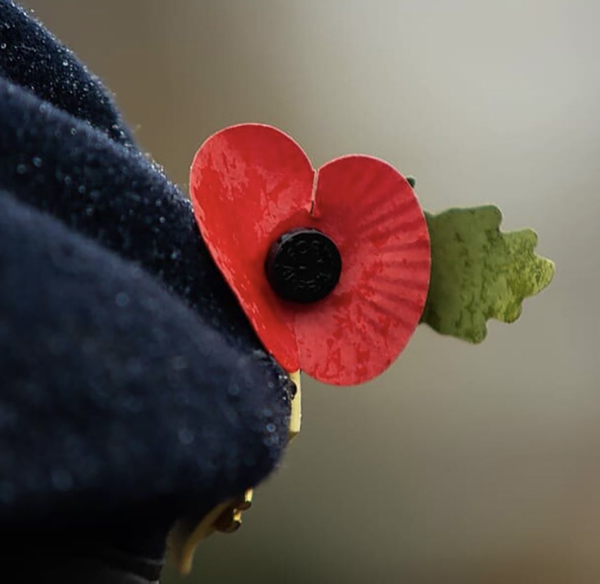 StandwalkLtd tweet media