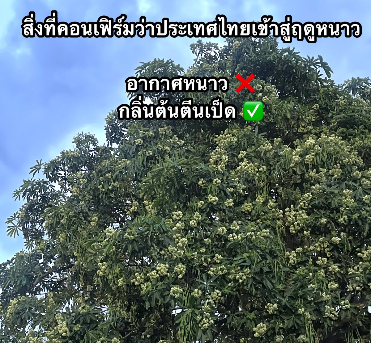 ᴛᴀᴋᴋᴜɴɢ 𓏰˙Ⱉ˙ tweet media