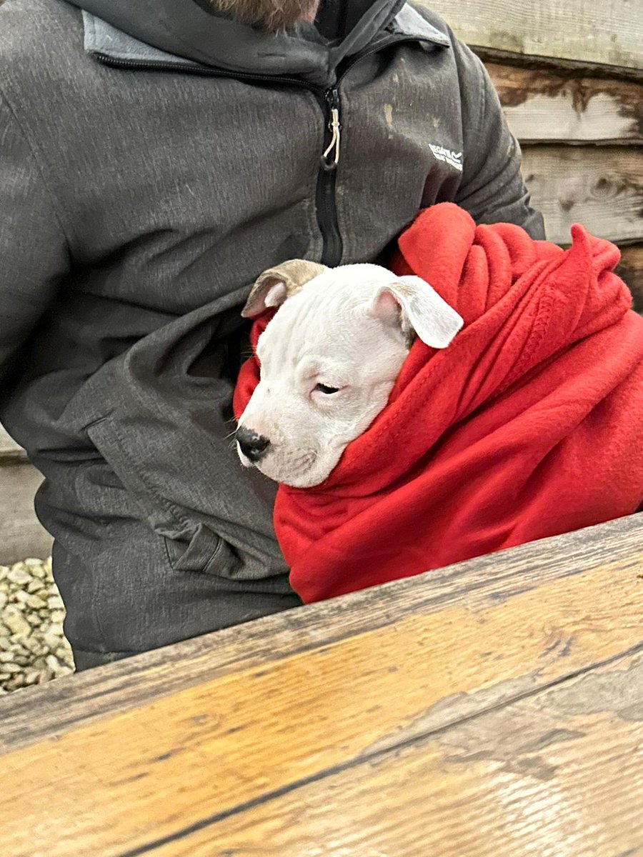 This little pup stole the show this week so we didn't think it was fair to feature any other dogs on this week's Tails from the Taproom! 🥰
#Dog #Puppy #Stroud #Brewery #Cute