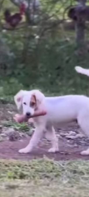 TIRESIMI💥 tweet media