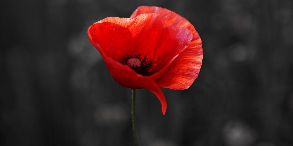 Decor_Rick (@decor_rick) on Twitter photo 