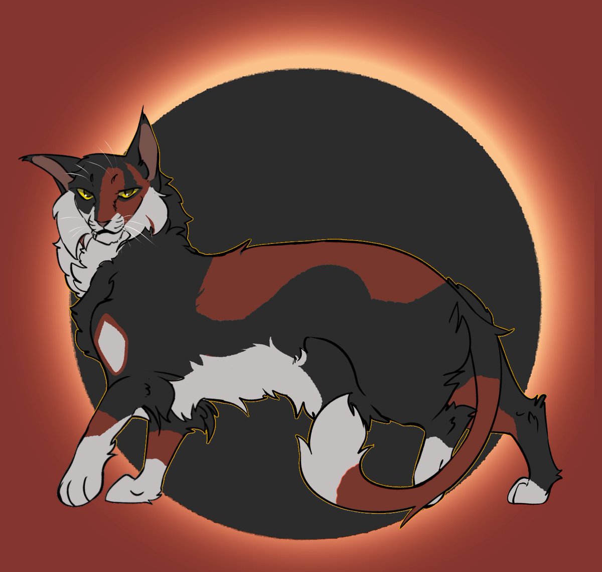 matsu13405's tweet photo. #warrorcats
#γ¦γ©γΌγͺγ’γΌγΊγγγ©γ
SOL https://t.co/1hGSGR27sU