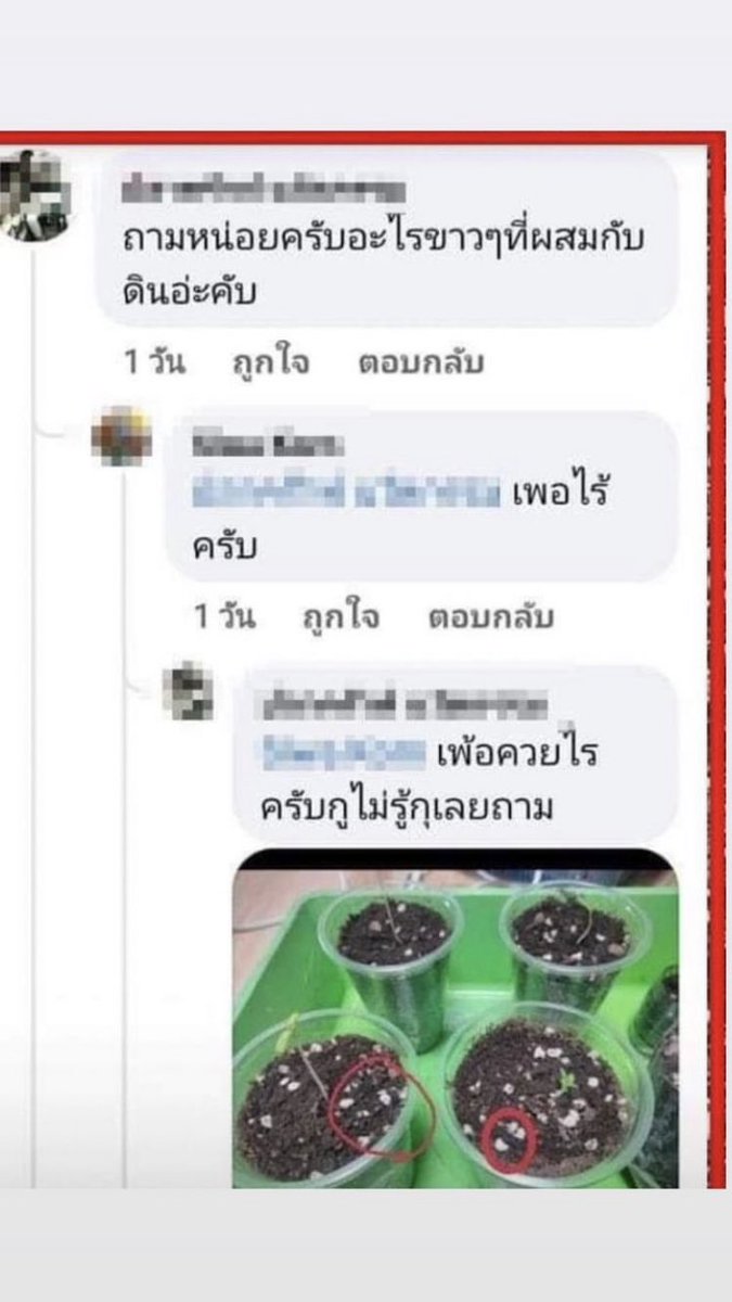 ป้าเบบี้เอง (@cheekchubby_) on Twitter photo 