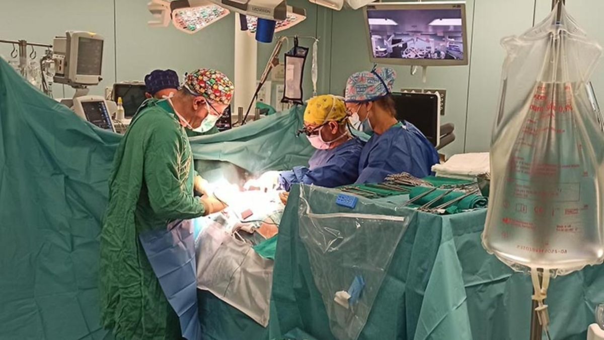 ¡Hecho histórico! El <a href="/HospitalLaFe/">HospitalLaFe</a> realiza por primera vez en España 3⃣ trasplantes de pulmón en un mismo día 🫁

mtr.cool/fbworjfmpy vía <a href="/levante_emv/">Levante-EMV</a>