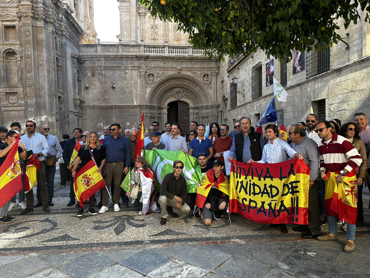 LuisGestoso's tweet photo. En las manifestaciones y concentraciones de hoy domingo contra el golpe de Sánchez. @Vox_Murcia 
@VOXMurciaCiudad 
@vox_es 
#NoALaAmnistia 
#NoAlGolpeDeSánchez 
#NoAlGolpeDeEstado 
#PuertadelSol https://t.co/ulftuoiNcA