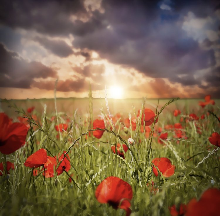 It’s a day of remembrance, we will remember them 🙏 #LestWeForget