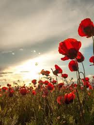 Lest We Forget ♥️