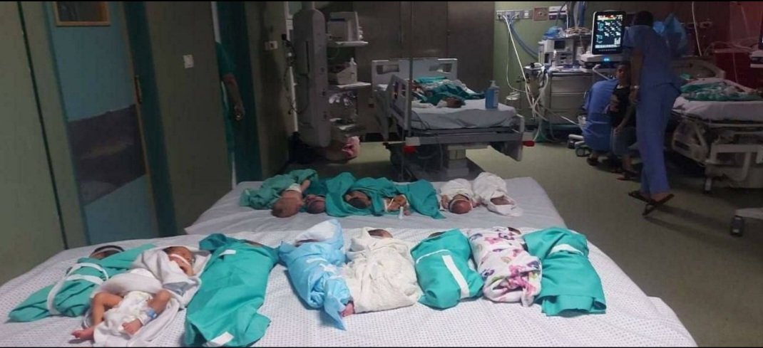 These are neonates in Shefa hospital in gaza. They are out of their incubators as the oxygen and electricity are off secondary to the siege on hospitals in gaza &amp; after targeting the oxygen generators by Israeli fighters and tank bombs. 
They are left for their fate on room air.