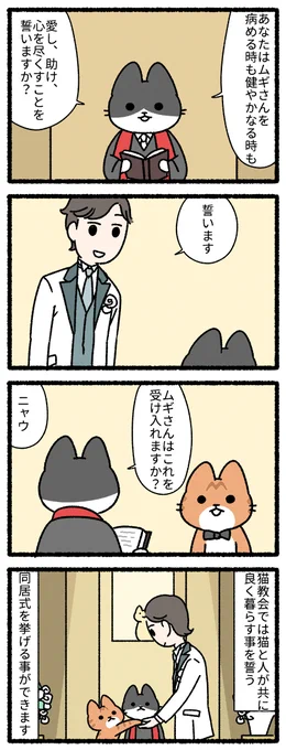 猫の教会 #ねこのおしごと