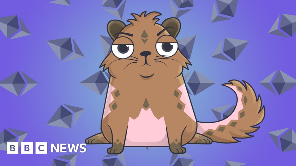 Kalidas salvi tweet media