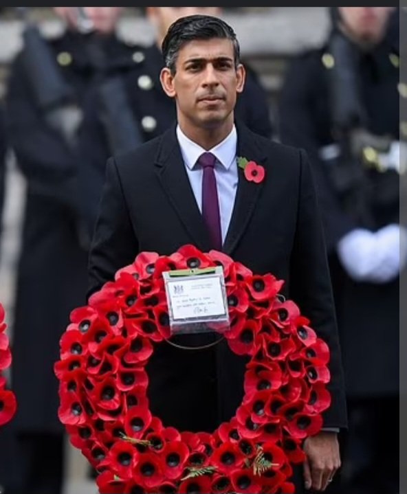 FALLLFAN's tweet image. "Poppy day" as its called, has become a grotesque parade for showboaters who promote war and killing and think saying "never again and lest we forget" exonerates them from their support for murdering innocents.