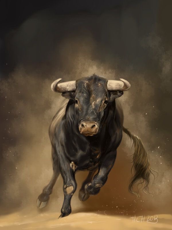 SolStreetBulls's tweet photo. Out in the sun, the BULL began its run 🐂 https://t.co/0GEBy8f1j3
