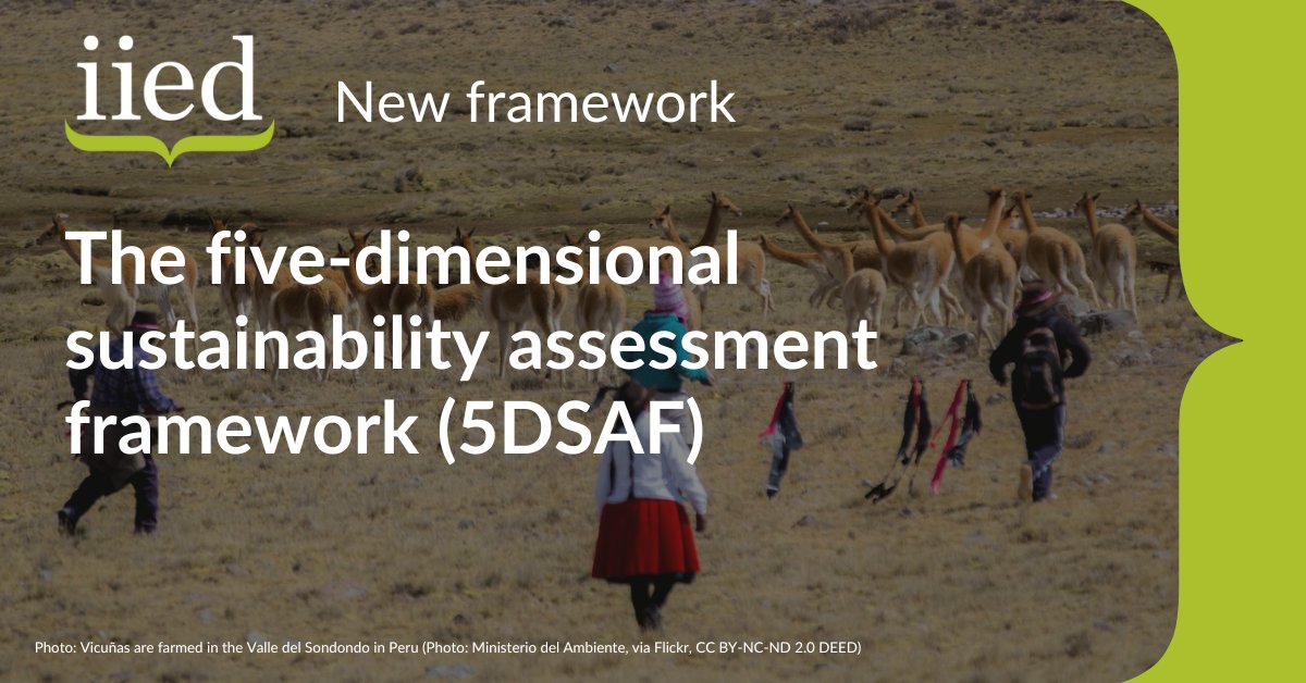 ICYMI: Sustainable use is a core pillar of the global #biodiversity framework. But how to determine if #wildlife use is really sustainable? We have developed a '5D' framework which seeks to make a complex issue accessible to practitioners. --> ow.ly/iV7050Q6sp3