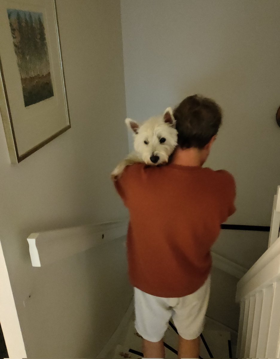SimoWestie's tweet photo. 12th #FathersDay with hoodad https://t.co/Z7i8jNHqkB