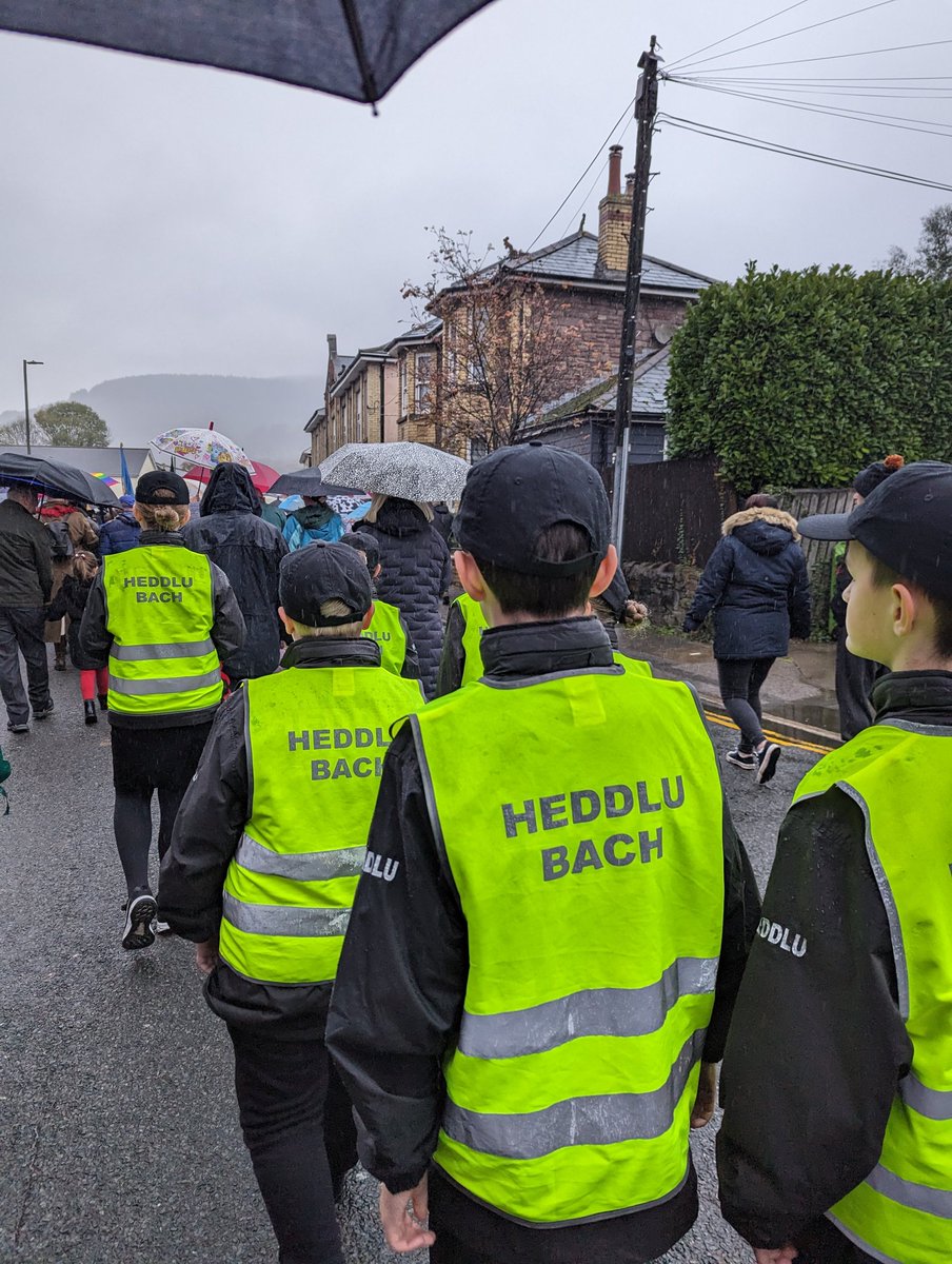 Ty Sign Primary tweet media