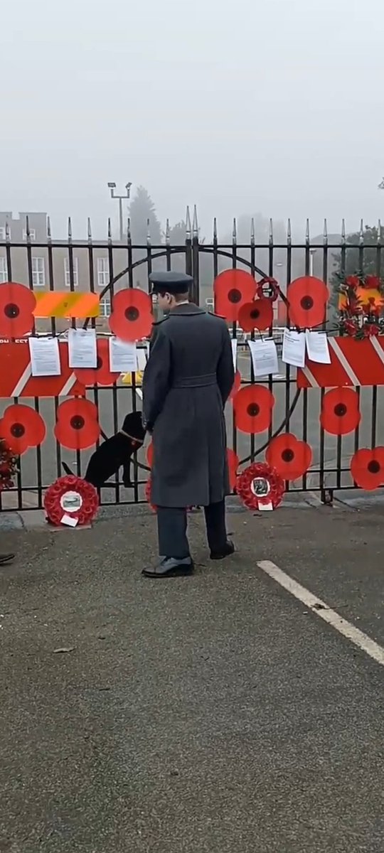 YorksRose_84's tweet photo. Lest we Forget
RAF Scampton https://t.co/BmBqbGZTwh
