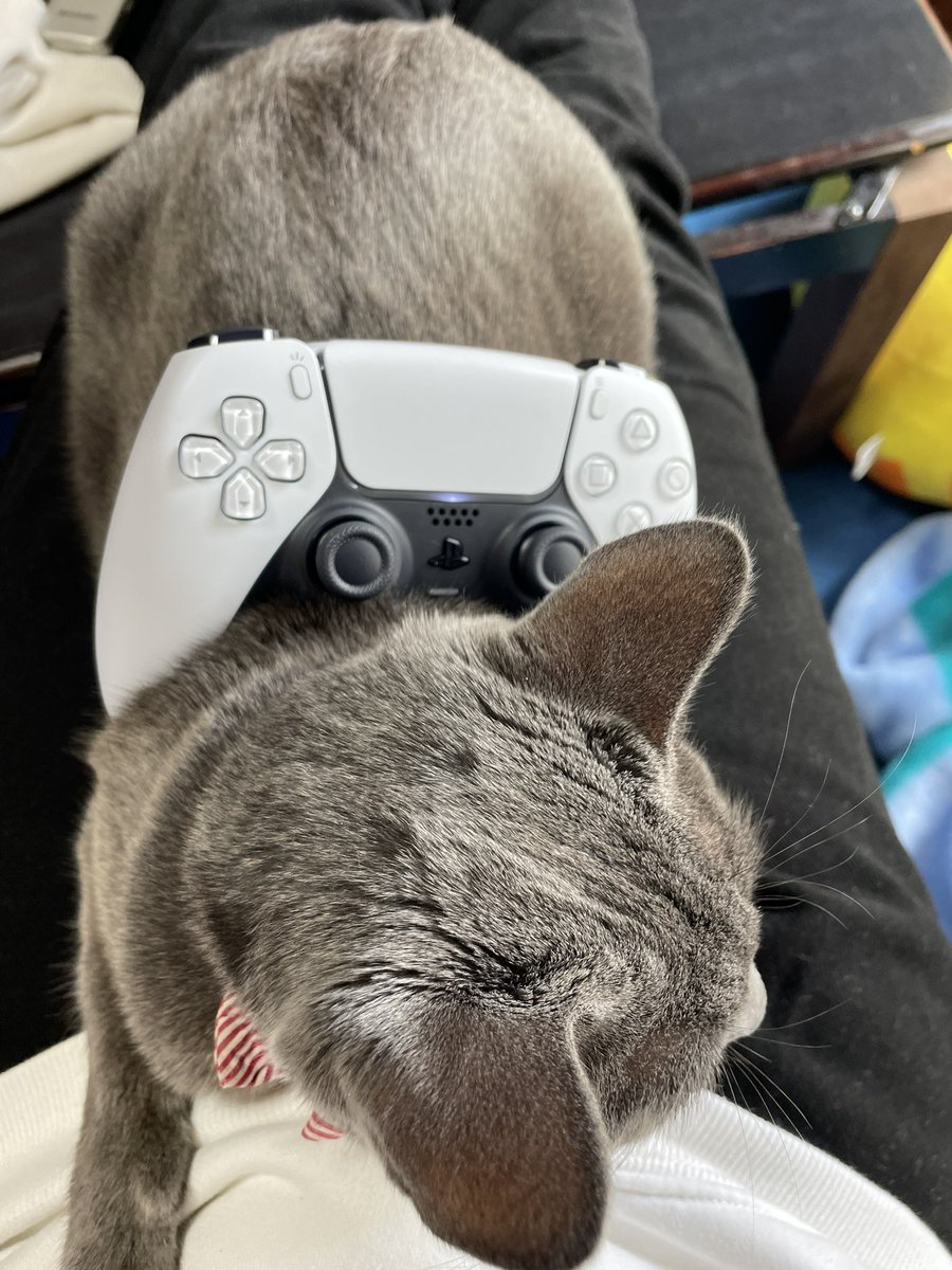 新型PS5！
コントローラー置きも付属されていました！