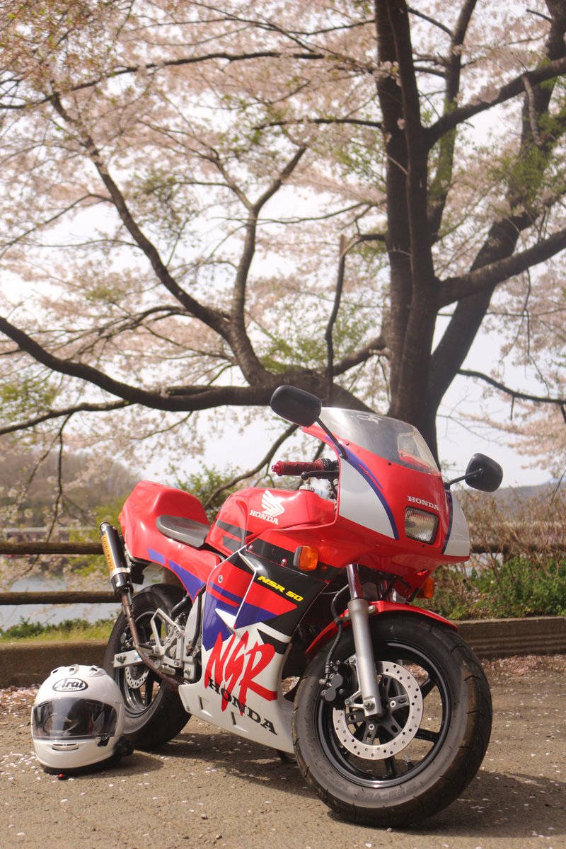 PB_riku's tweet photo. 少し前に買ったバイクを自慢したい。
バリ綺麗なnsr50。
近所をぐるぐるツーリングするなら2st 50cc が1番楽しい。
#nsr50 https://t.co/IG9N7l0hoi